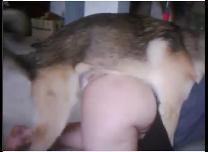 Video: Big ass slut got smashed with big dog dick